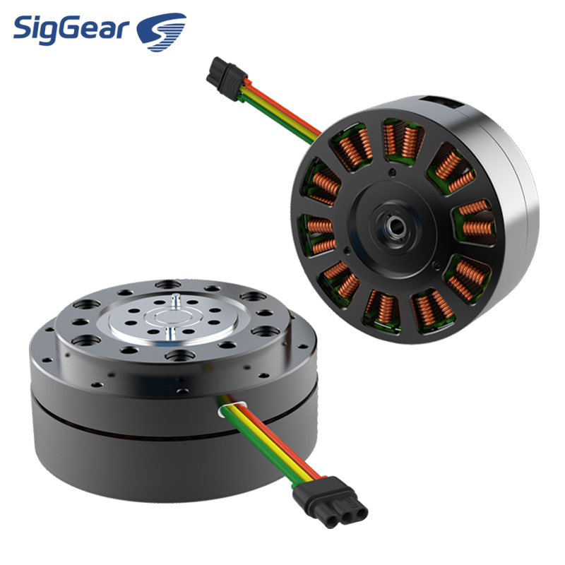 Hot Selling Micro 36v Dc Bldc  - Cycloidal Reducer Bldc Motor recension och pris